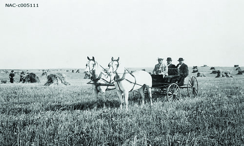 Three men ride in a wooden wagon as it is pulled by two horses across a farm field with bundles of wheat in the background.