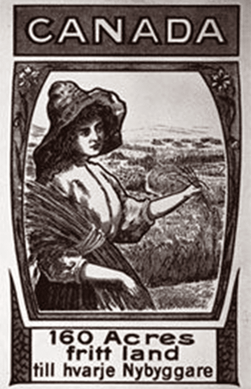 An advertisement sketch is shown that has a woman holding a bundle of wheat with farm fields in the background. It is advertising 160 Acres of farmland in Canada in Swedish.