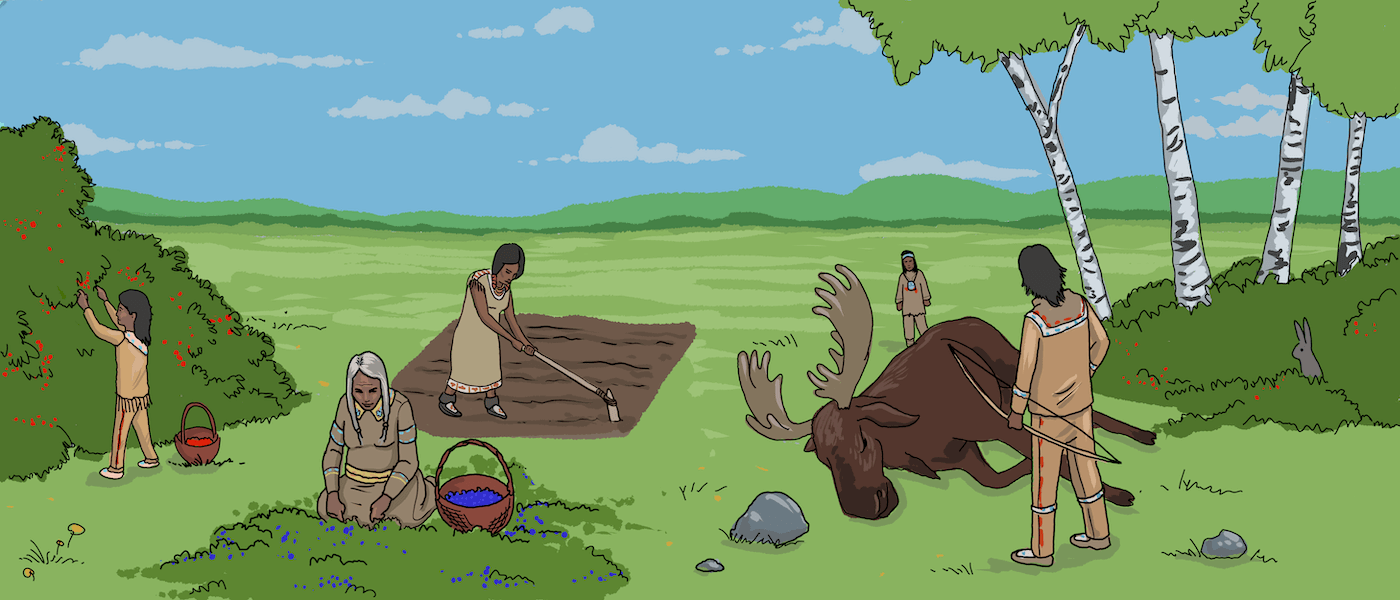 A group of illustrated Indigenous people are picking berries from bushes, while another couple of men have hunted a moose.