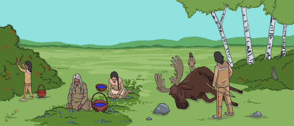 A group of illustrated Indigenous people are picking berries from bushes, while another couple of men have hunted a moose.