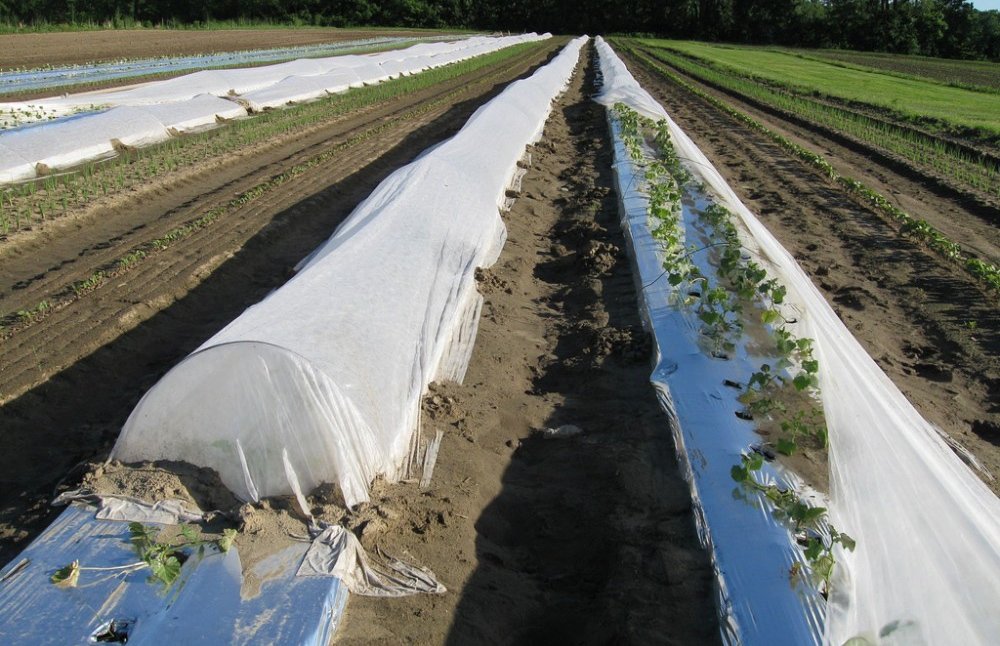 A train is stopped in a small town next to a train station and two elevators.