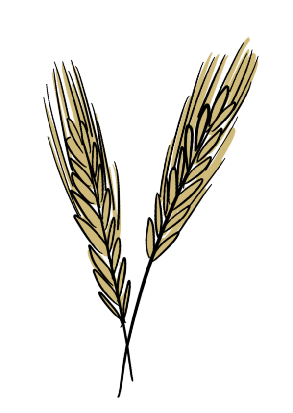 Wheat Two illustrated golden-coloured wheat sheaves.