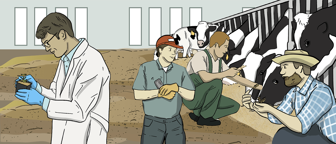 Four illustrated men stand in a barn. A crop scientist examines a potted plant in his hands while another farmer stands with his phone in his hands. A third farmer is looking at a wheat sheaf and a veterinarian is giving cows medicine.