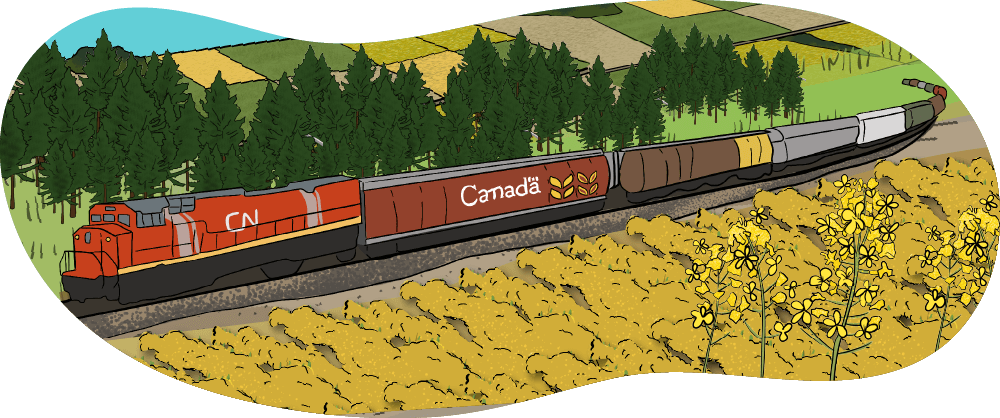 An illustrated train is moving across a landscape that has pine trees, farm fields, and a canola crop. 