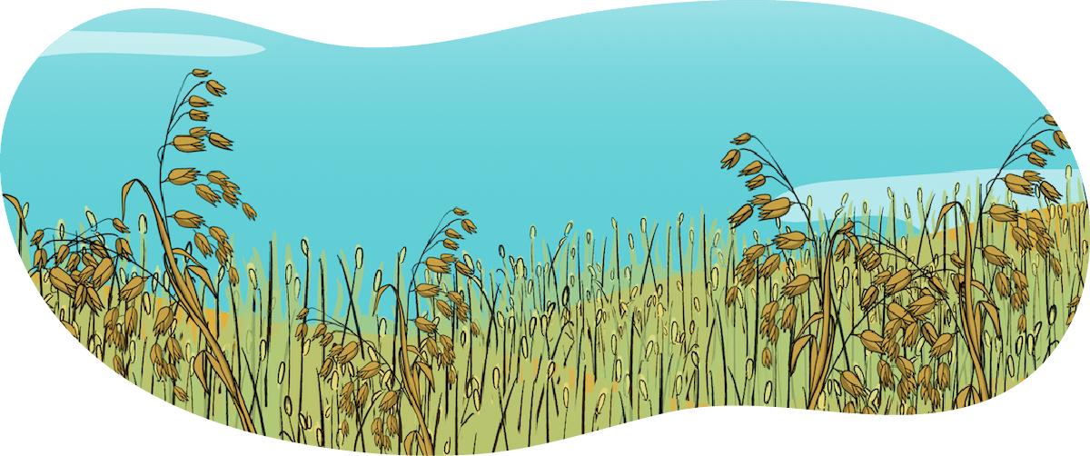 An illustrated green oats crop.