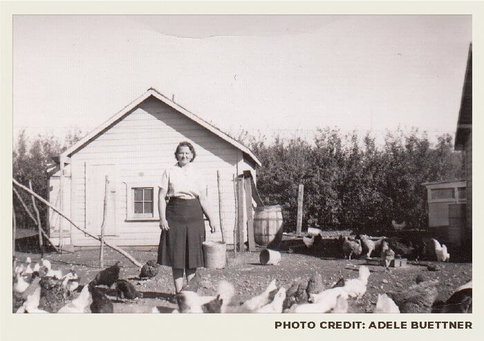 A woman is standing next to a shed on their homestead, feeding the chickens that have gathered around her.