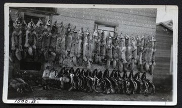 A piece of art by Leah Marie Dorion made with mosaics shows two Indigenous women facing each other with their hair blowing out behind them. There is a sun with butterflies in the centre, and snakes underneath the ground.