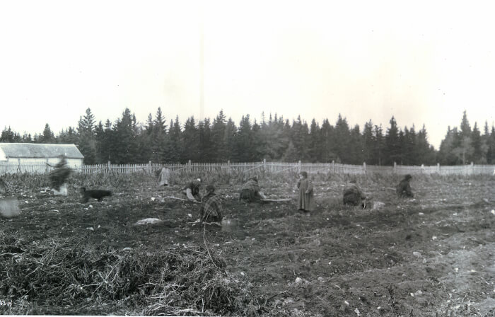 A piece of art by Leah Marie Dorion made with mosaics shows two Indigenous people standing near animals, sun, and water. 